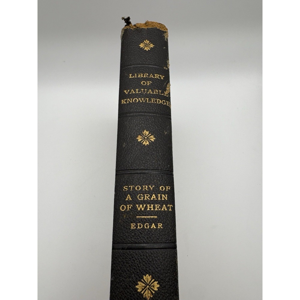 The Story of a Grain of Wheat by William C. Edgar 1915 Appleton HC Illustrated - Picture 2 of 8